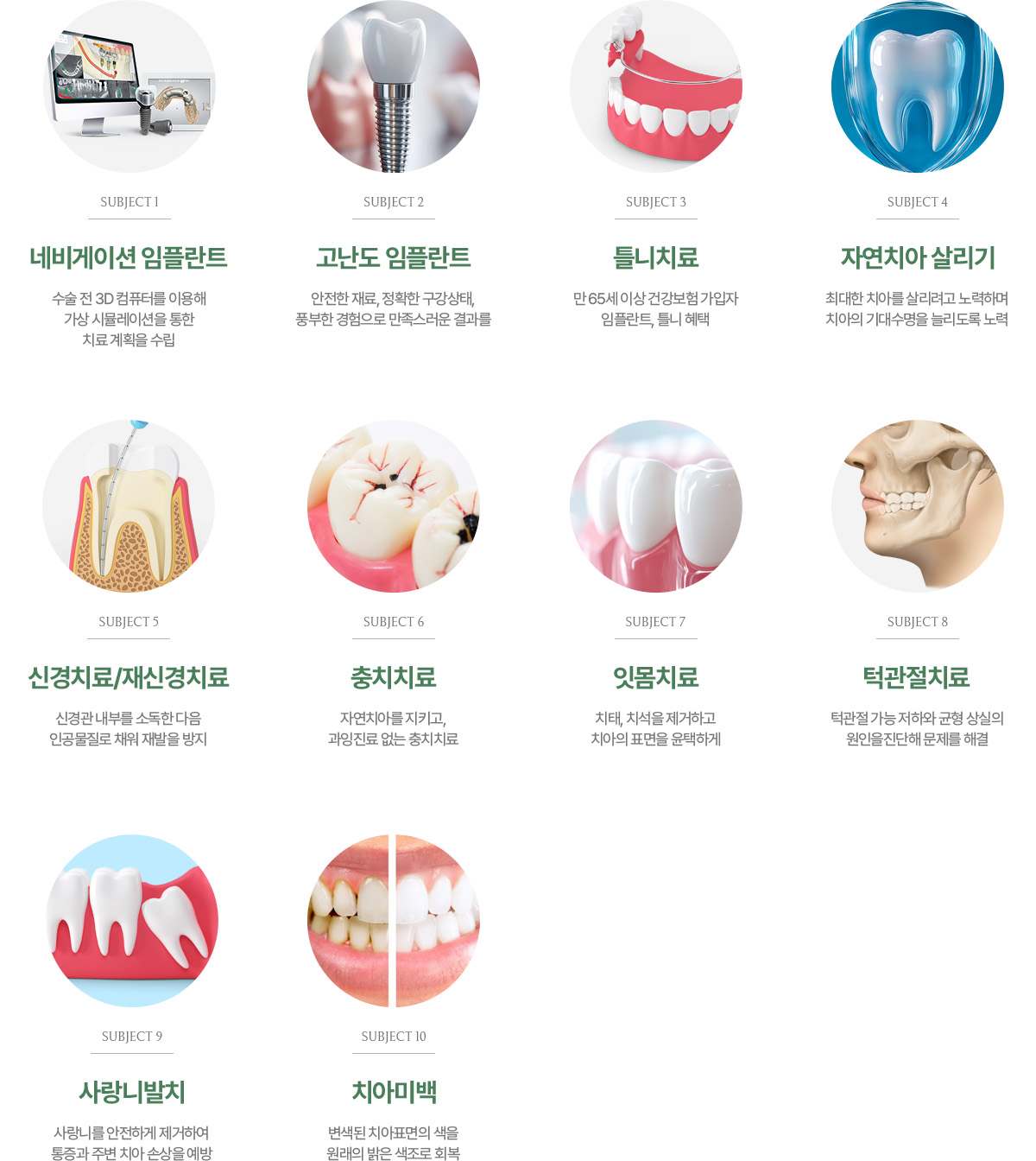 진료과목